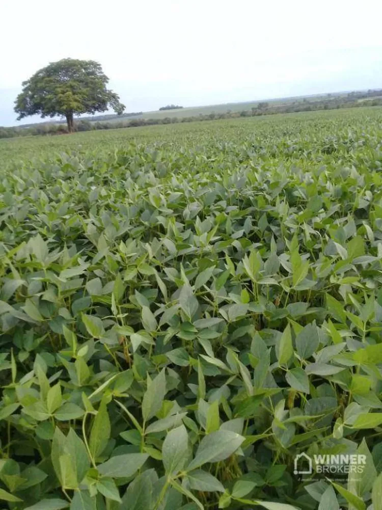 Fazenda, 104 hectares - Foto 3