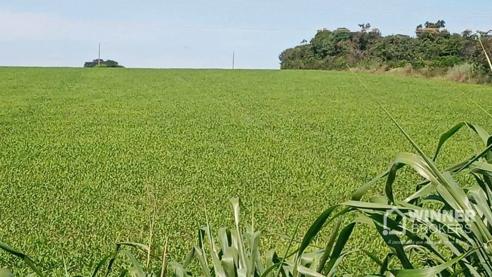 Fazenda, 104 hectares - Foto 5