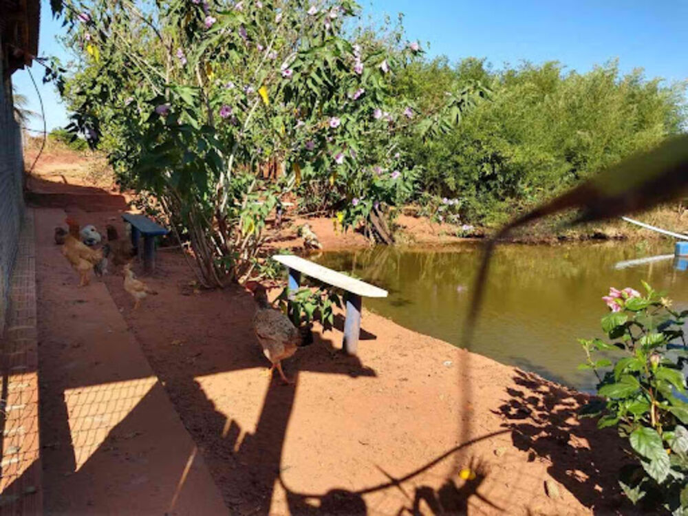 Sítio, 8 quartos, 3 hectares - Foto 20