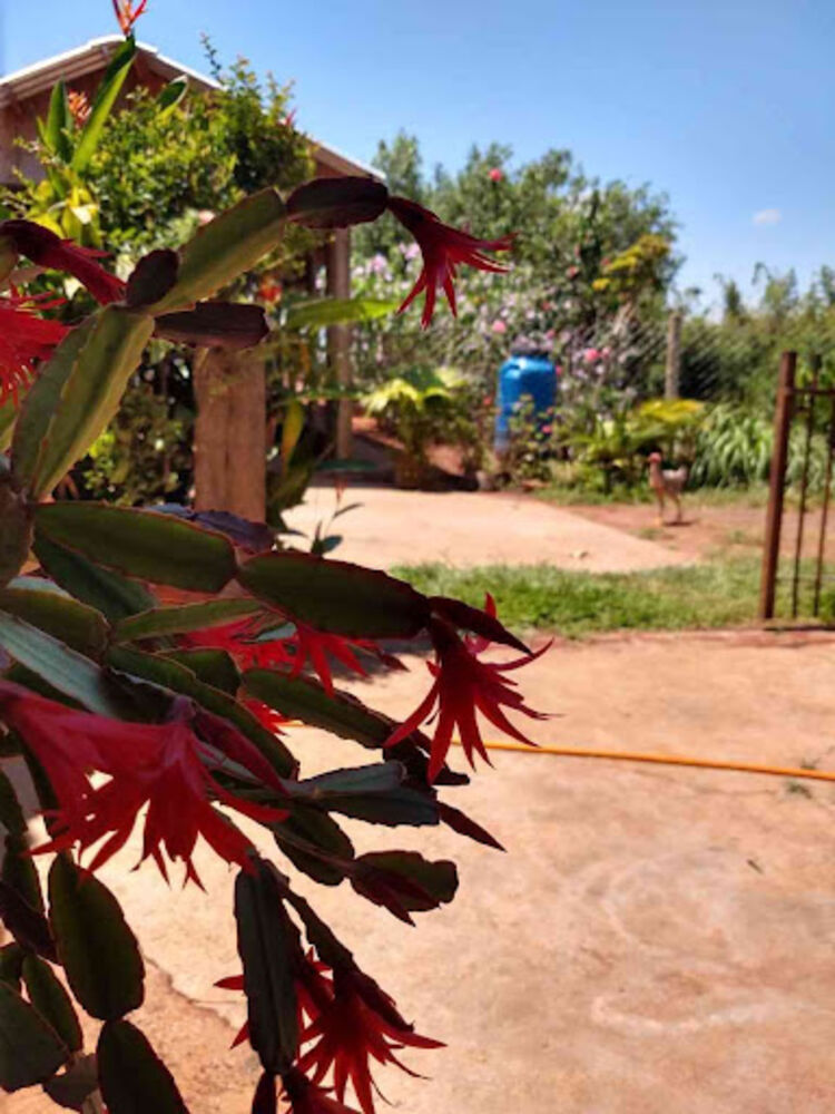 Sítio, 8 quartos, 3 hectares - Foto 2