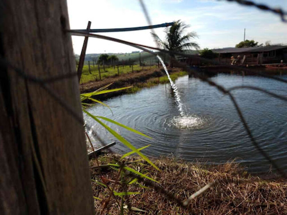 Sítio, 8 quartos, 3 hectares - Foto 6