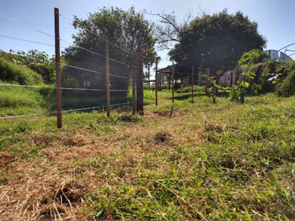 Sítio, 8 quartos, 3 hectares - Foto 19