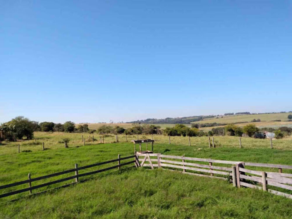 Sítio, 8 quartos, 3 hectares - Foto 4