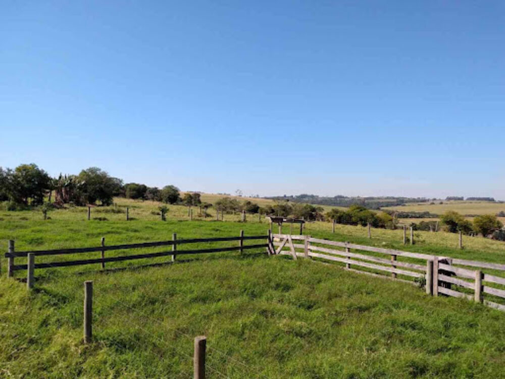 Sítio, 8 quartos, 3 hectares - Foto 5