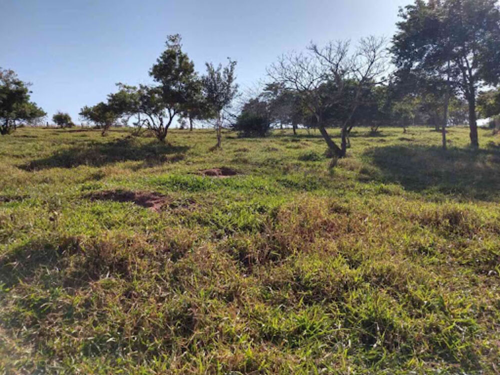 Sítio, 8 quartos, 3 hectares - Foto 14