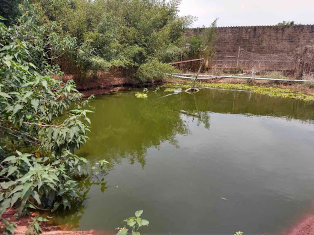 Sítio, 8 quartos, 3 hectares - Foto 9