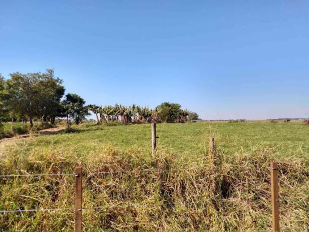 Sítio, 8 quartos, 3 hectares - Foto 17