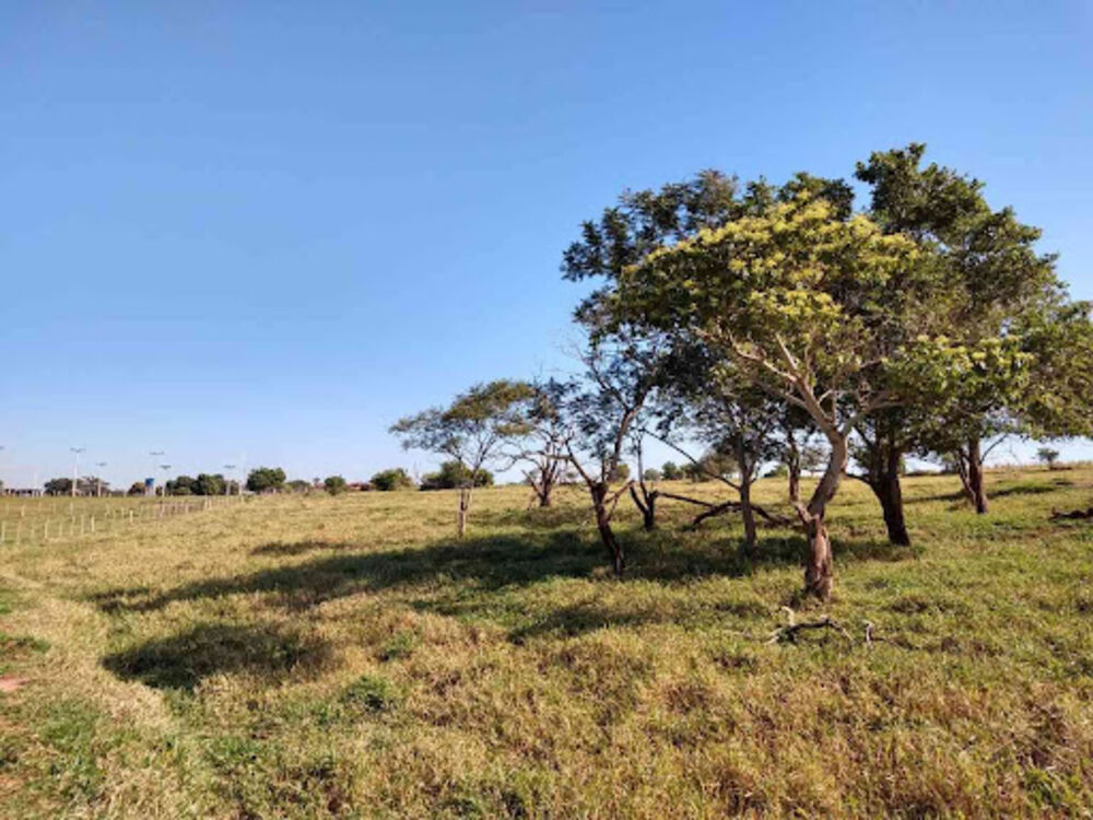 Sítio, 8 quartos, 3 hectares - Foto 7