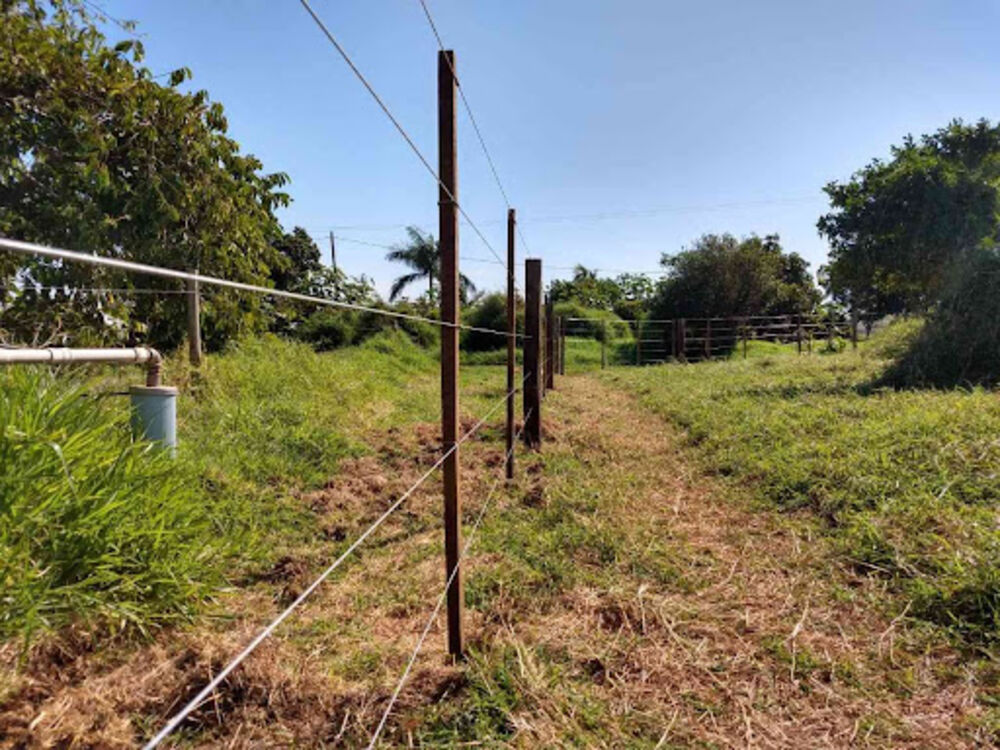 Sítio, 8 quartos, 3 hectares - Foto 12