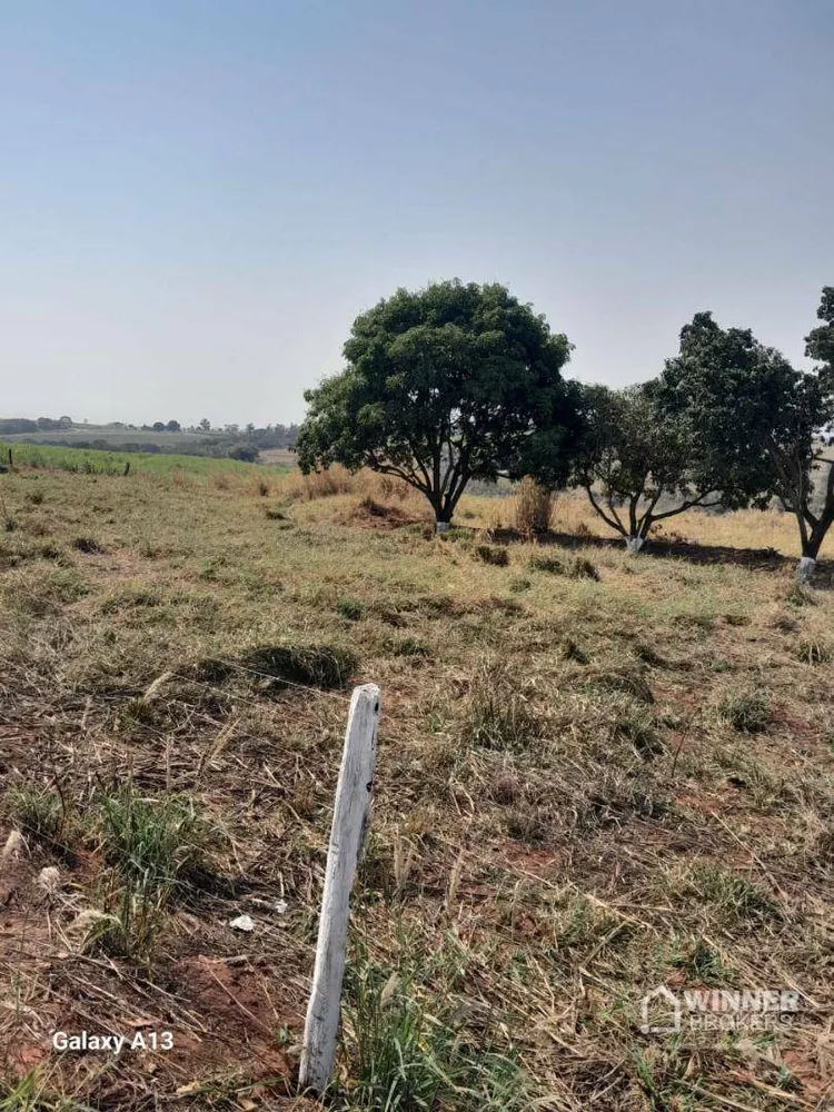 Chácara, 1 quarto, 5 hectares - Foto 4
