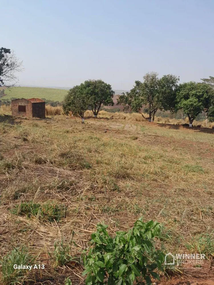 Chácara, 1 quarto, 5 hectares - Foto 3