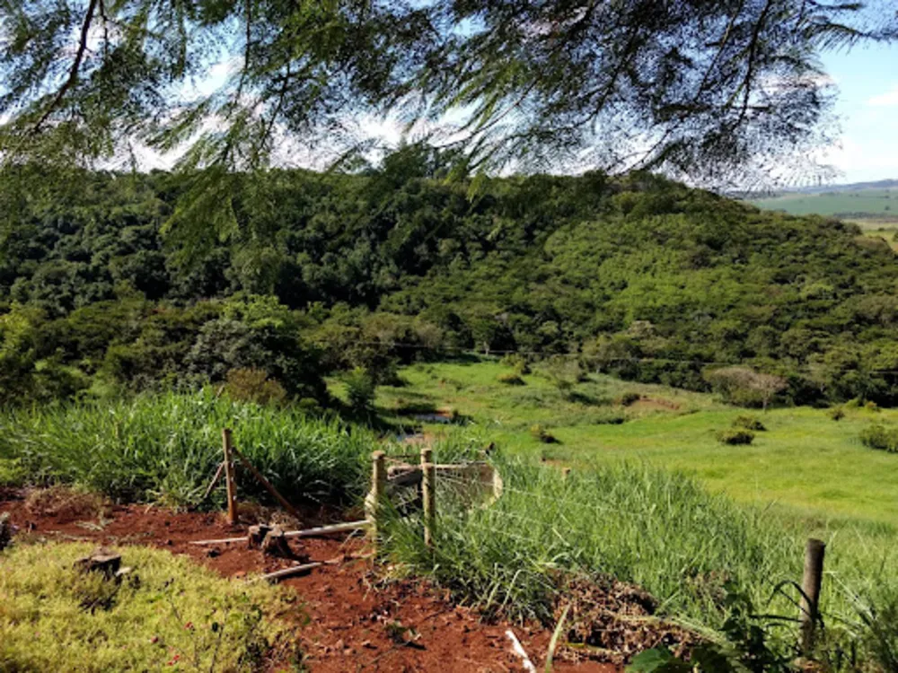 Sítio, 2 quartos, 15 hectares - Foto 7