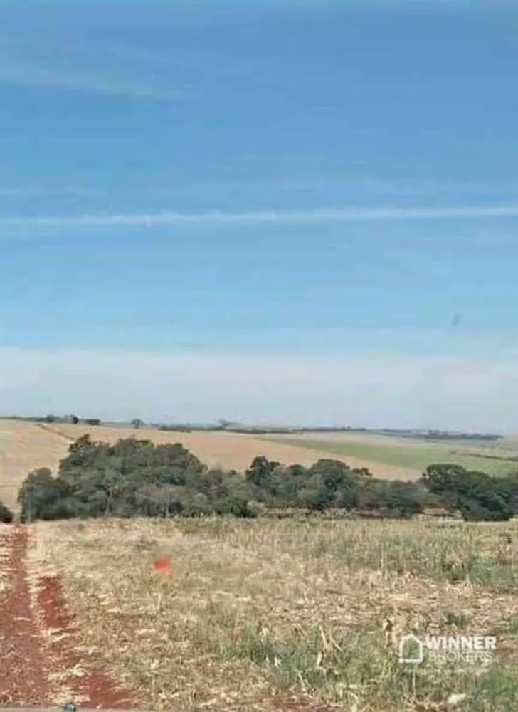 Sítio, 12 hectares - Foto 3