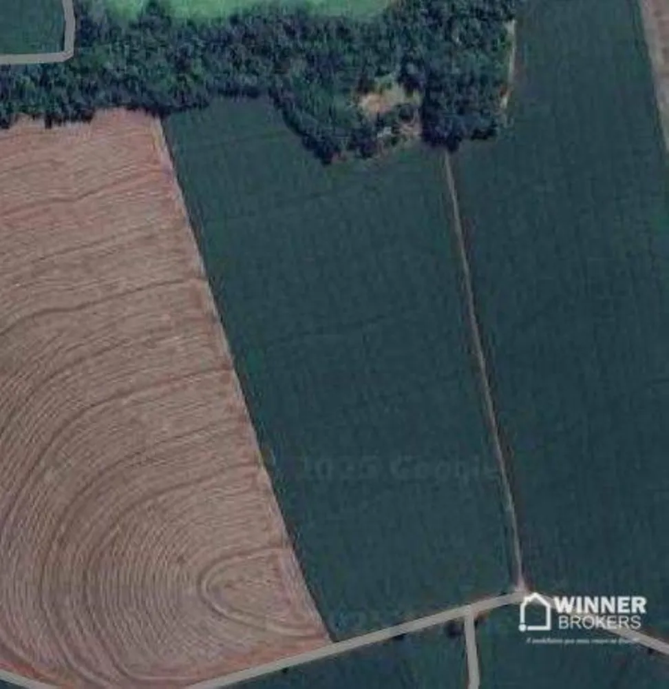 Sítio, 12 hectares - Foto 1