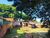 Terreno, 496 m² - Foto 3