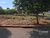 Terreno, 218 m² - Foto 2