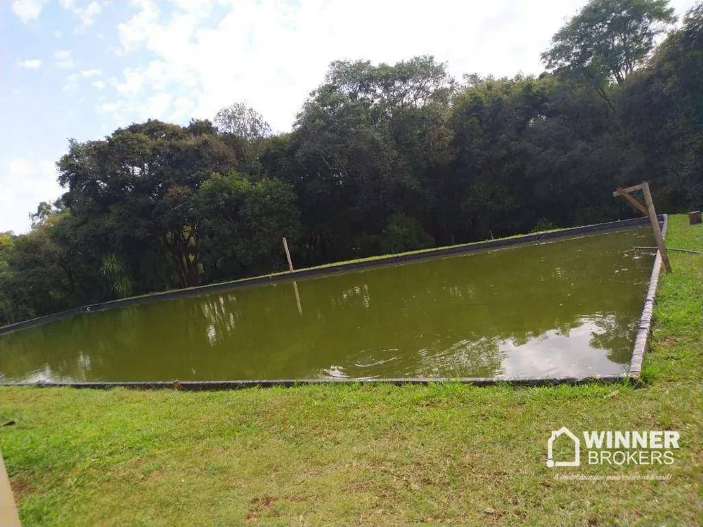 Chácara, 2 quartos, 3 hectares - Foto 7