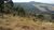 Fazenda, 34 hectares - Foto 3