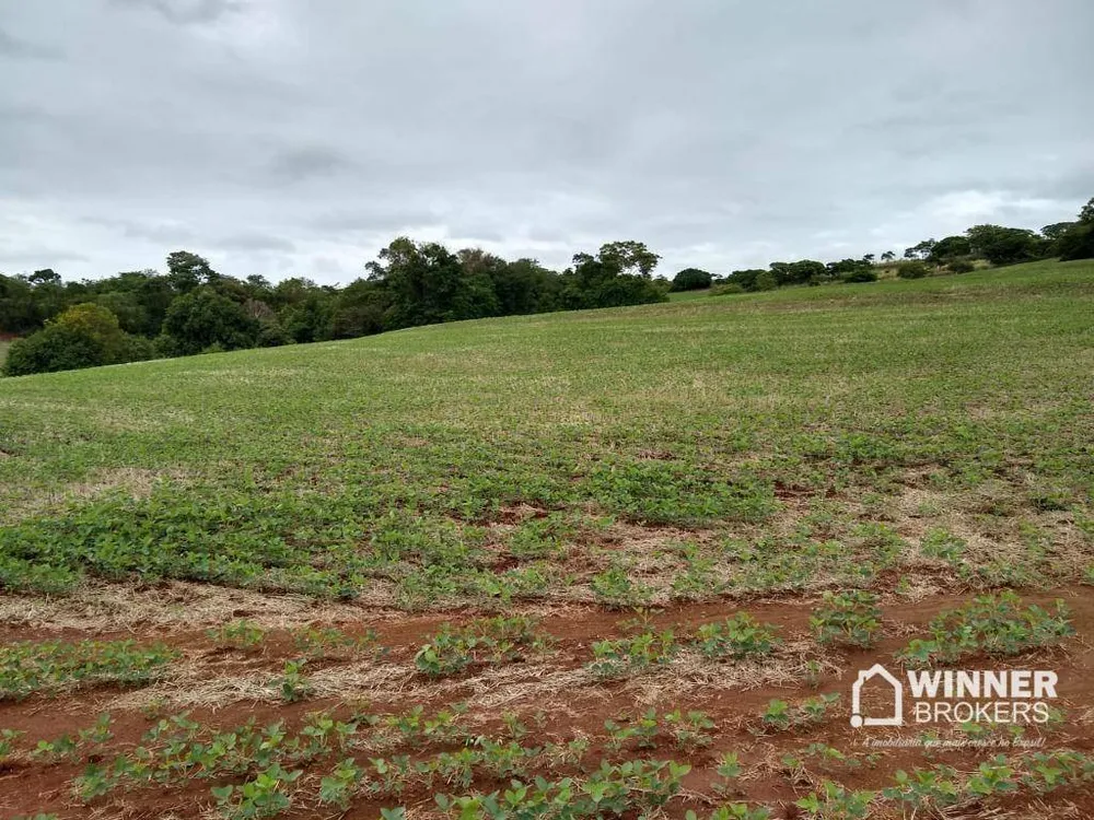 Chácara, 1 quarto, 4 hectares - Foto 4