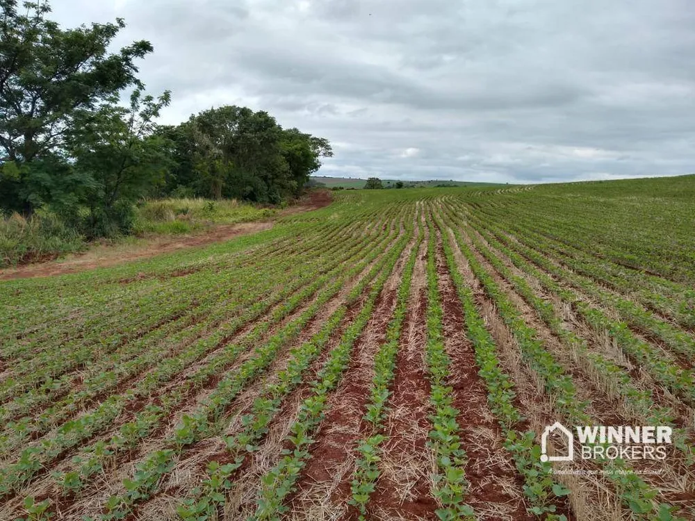 Chácara, 1 quarto, 4 hectares - Foto 1