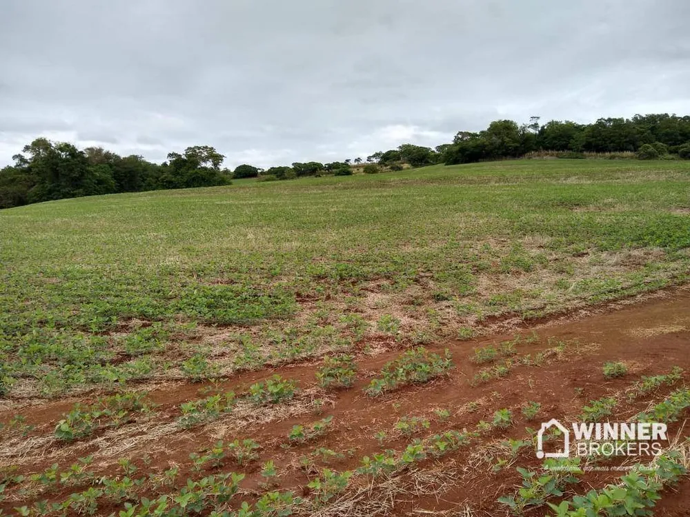 Chácara, 1 quarto, 4 hectares - Foto 3