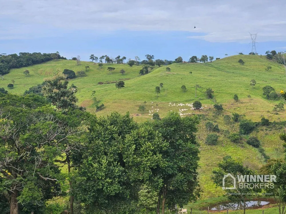 Fazenda, 862 hectares - Foto 4