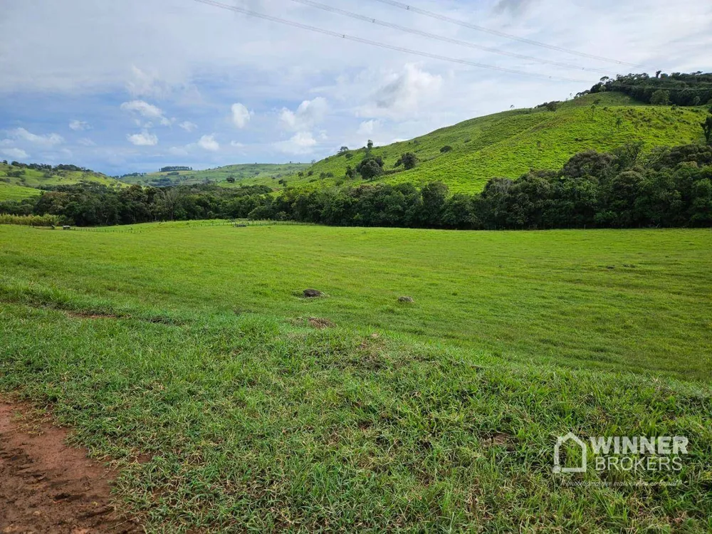 Fazenda, 862 hectares - Foto 1
