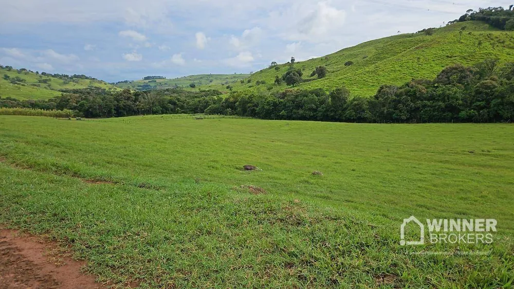 Fazenda, 862 hectares - Foto 8