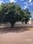 Casa, 3 quartos, 150 m² - Foto 2