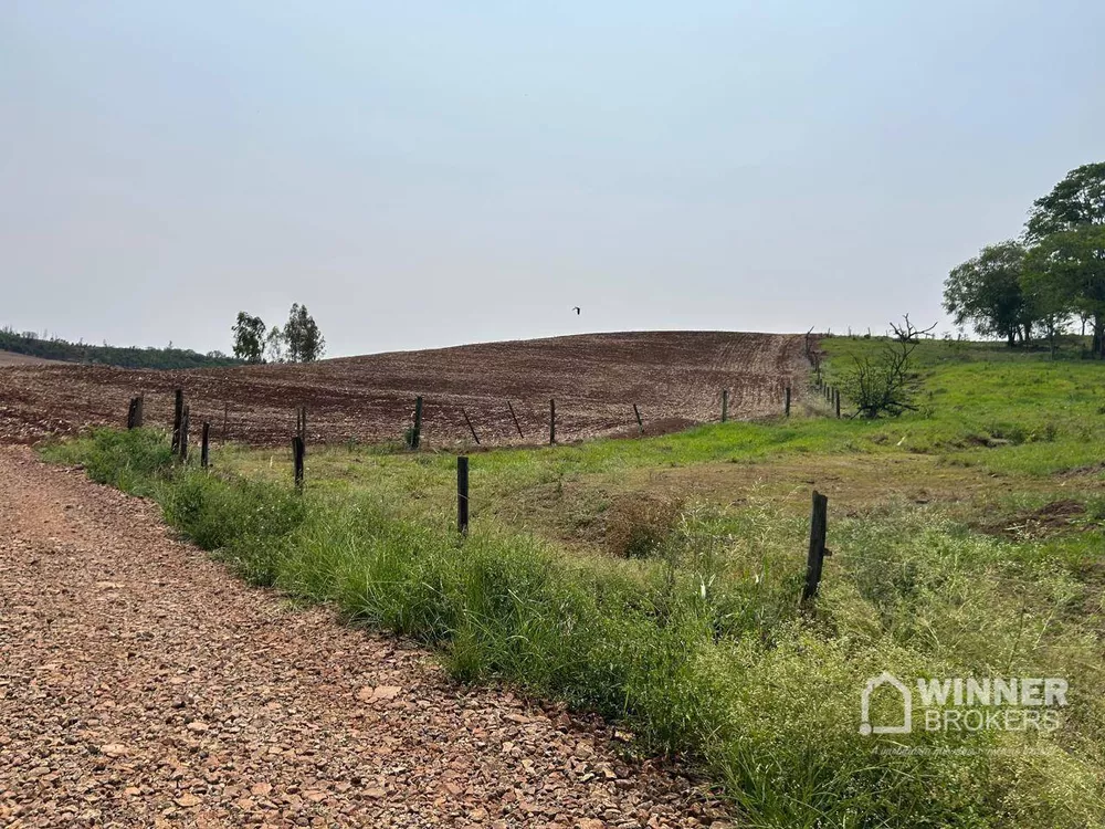 Sítio, 2 quartos, 19 hectares - Foto 14