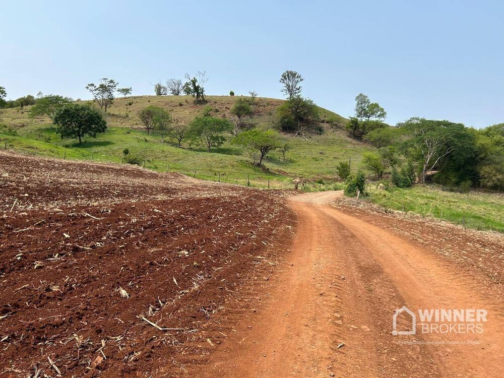 Sítio, 2 quartos, 19 hectares - Foto 16