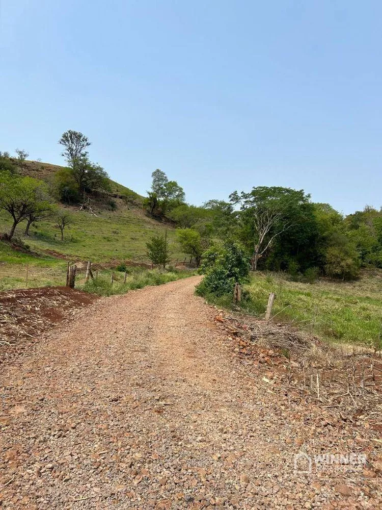 Sítio, 2 quartos, 19 hectares - Foto 6