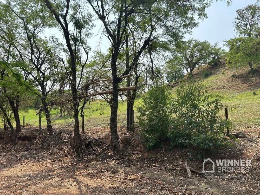 Sítio, 2 quartos, 19 hectares - Foto 12