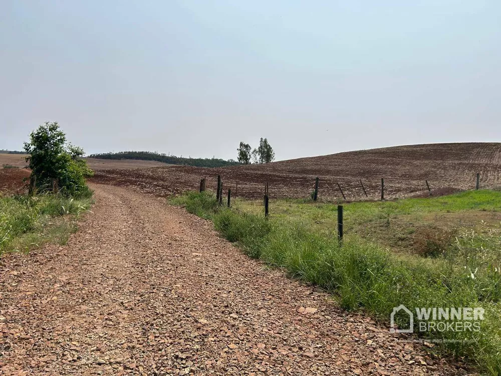 Sítio, 2 quartos, 19 hectares - Foto 15