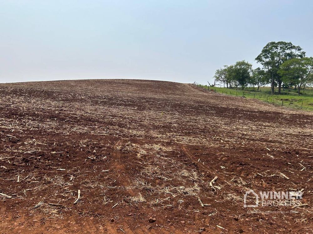 Sítio, 2 quartos, 19 hectares - Foto 20