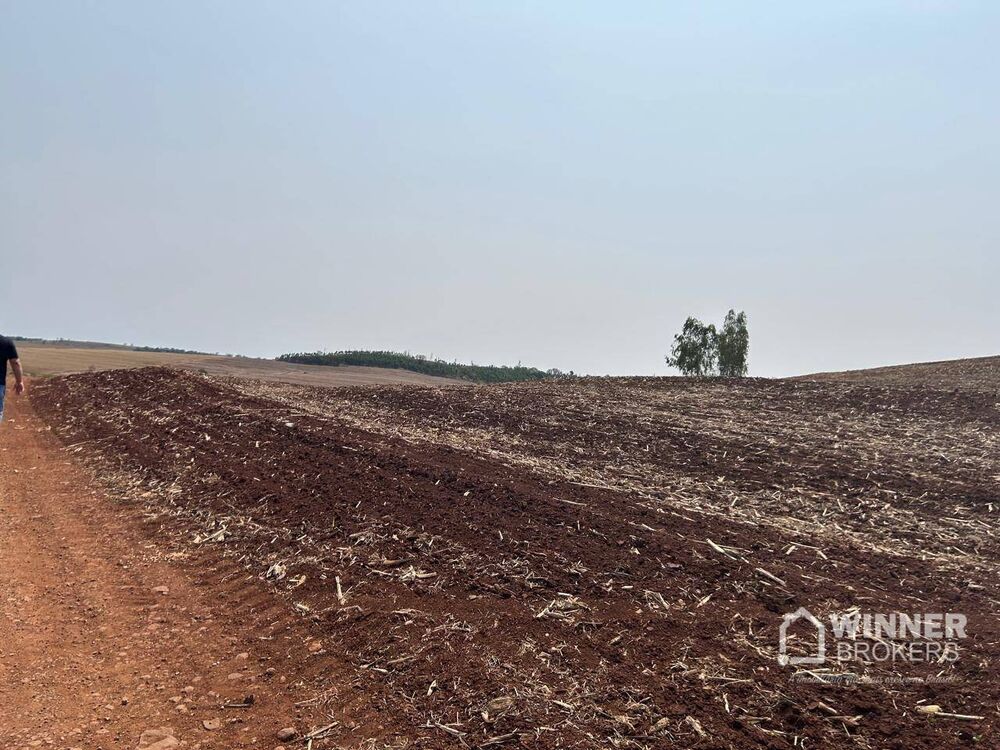 Sítio, 2 quartos, 19 hectares - Foto 7