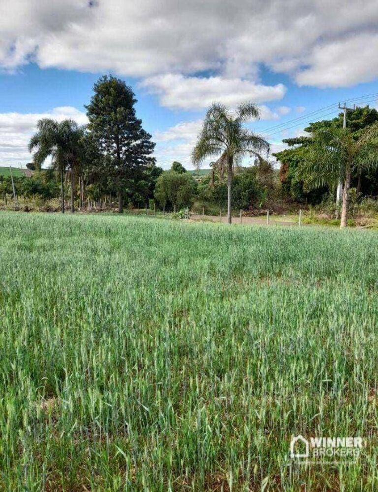 Terreno, 46 hectares - Foto 1