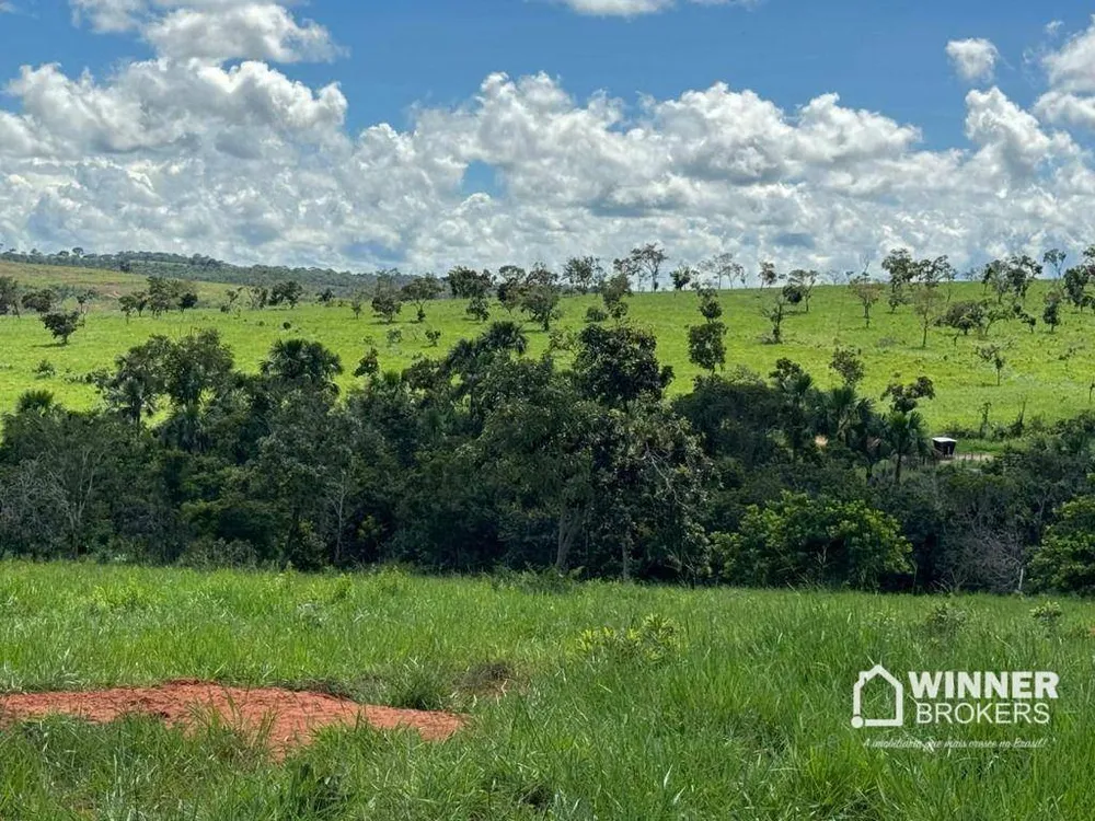 Fazenda, 1932 hectares - Foto 9