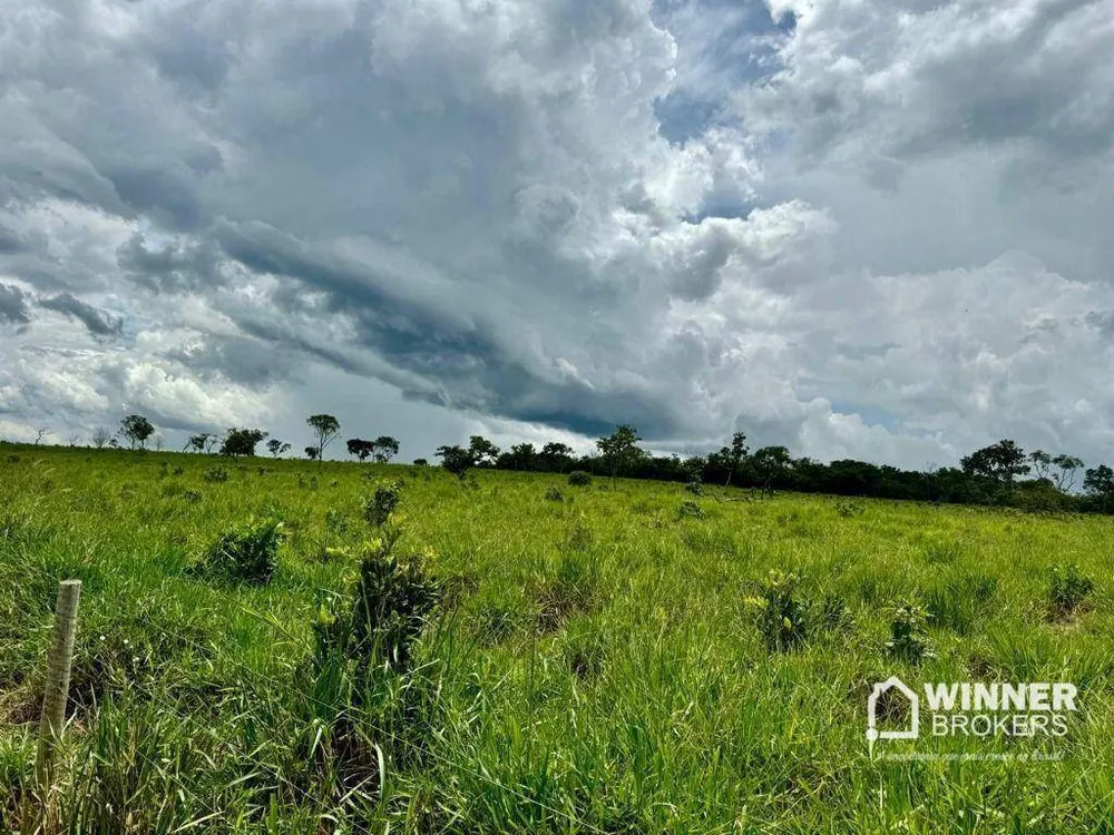 Fazenda, 1932 hectares - Foto 3