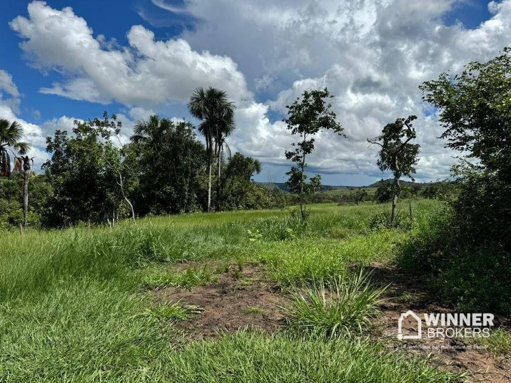 Fazenda, 1932 hectares - Foto 3