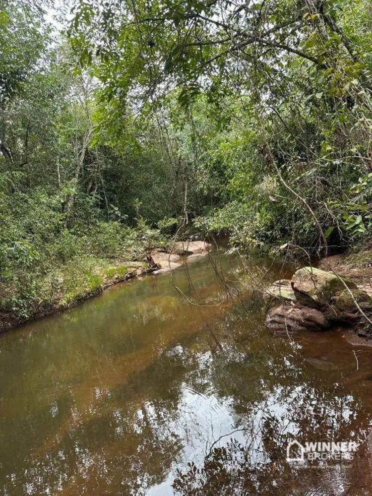 Fazenda, 1932 hectares - Foto 4