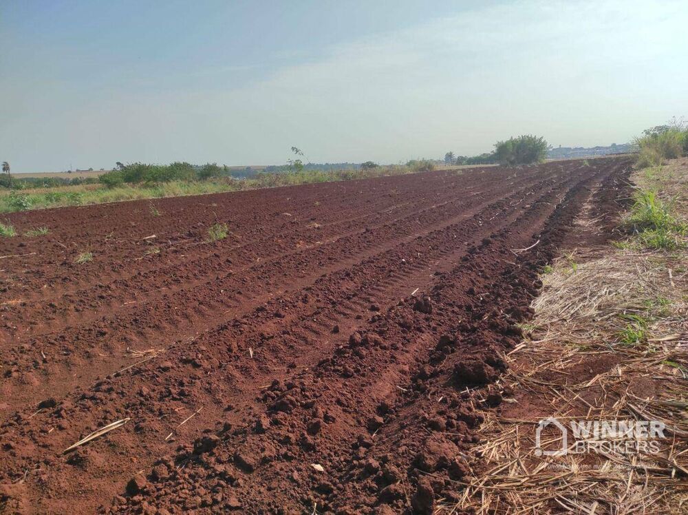 Chácara à venda com 1 quarto, 29960M2 - Foto 8