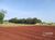 Chácara, 1 quarto, 3 hectares - Foto 9