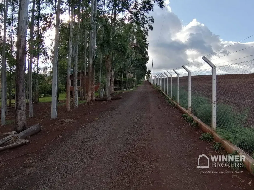 Sítio, 4 quartos, 3 hectares - Foto 4