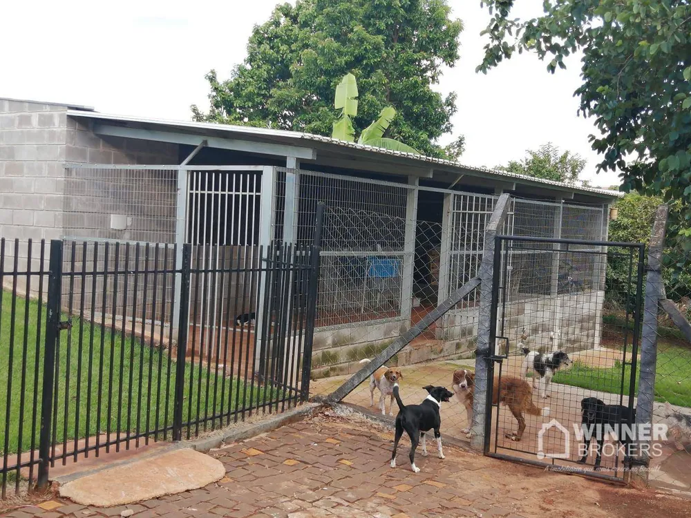 Sítio, 4 quartos, 3 hectares - Foto 7