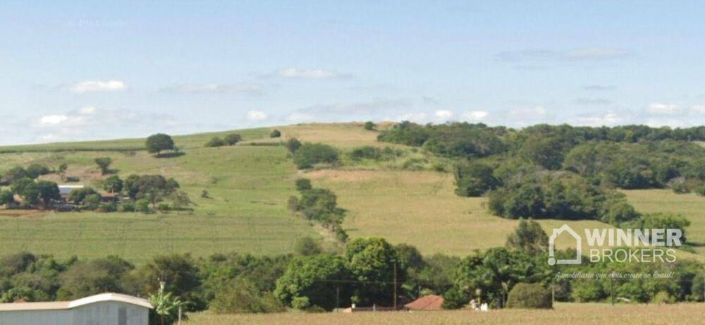 Chácara, 1 quarto, 12 hectares - Foto 1