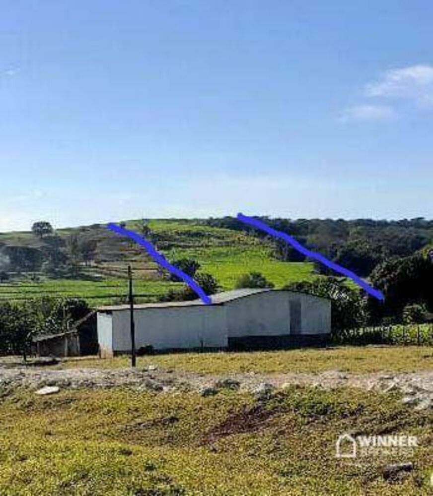 Chácara, 1 quarto, 12 hectares - Foto 2