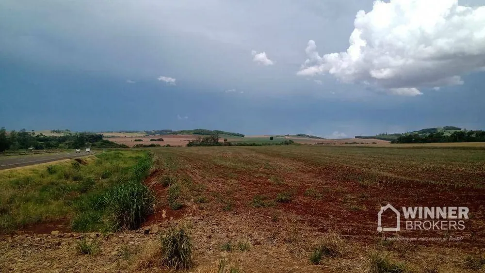 Terreno, 9 hectares - Foto 4