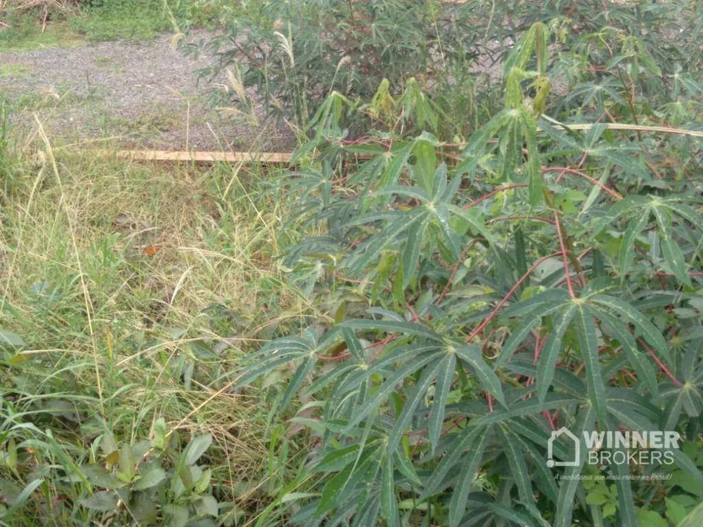 Terreno, 450 m² - Foto 6