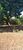 Terreno, 710 m² - Foto 3